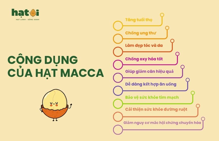 Một số công dụng của hạt macca