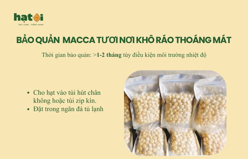 Một số cách bảo quản hạt macca tươi