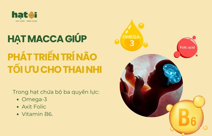 Hạt macca có tác dụng gì cho bà bầu?