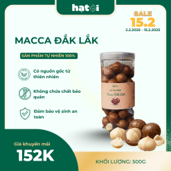 Hạt Macca Đắk Lắk