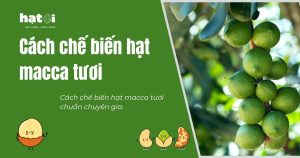 Hướng dẫn cách chế biến hạt macca tươi phổ biến