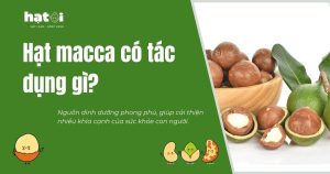 Hạt macca có tác dụng gì? Nên ăn bao nhiêu mỗi ngày?