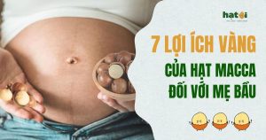 7 Lợi ích vàng của hạt macca đối với bà bầu